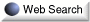 Web Search