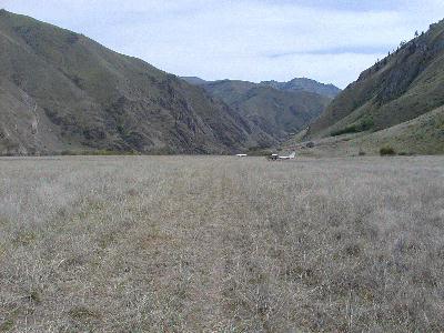 se into Hells cyn.