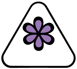 Alpine-Daisy-Flower