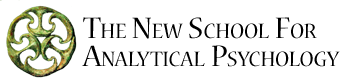NSAP logo
