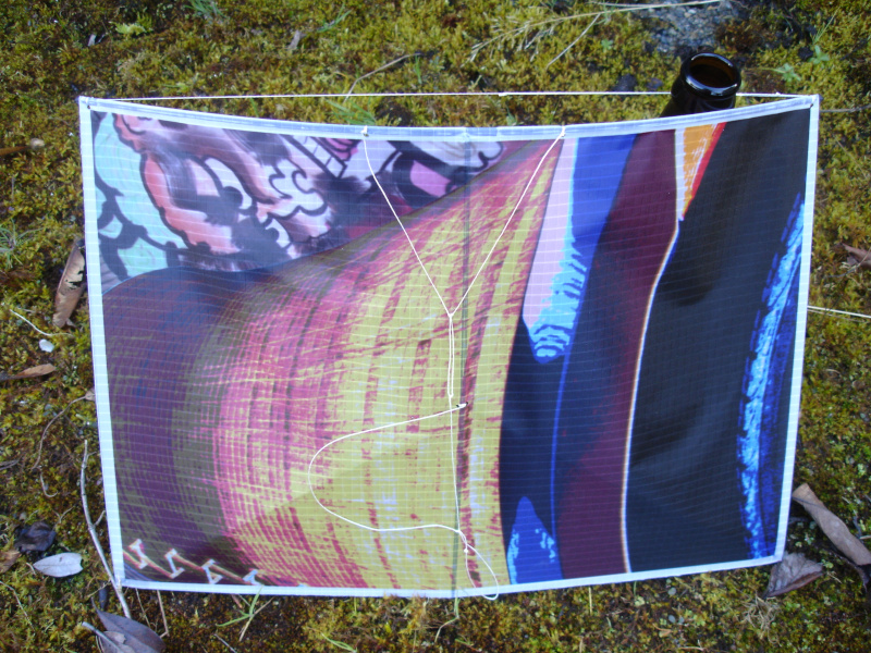 Ninja pirate kame sez "dat gap yo"