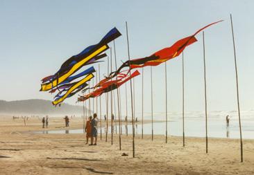 banners - photo Mike Beech