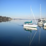 Murrelet approaching Olympia Yacht CLub.