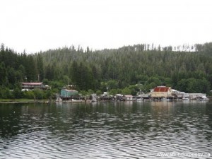 Winter Harbor from Murrelet