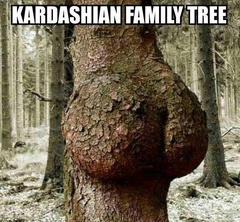 kardashian-family-tree