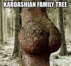 kardashian-family-tree