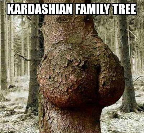 kardashian-family-tree.jpg