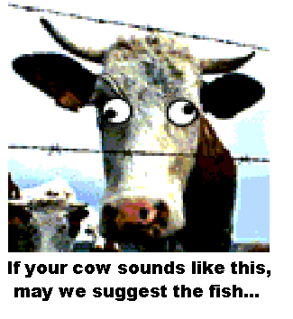 [mad cow]
