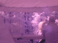 View from tent at lunch 
after tournament (IR, tungsten white balance)