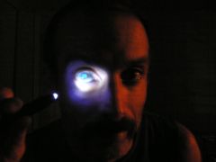 eye lens fluorescence