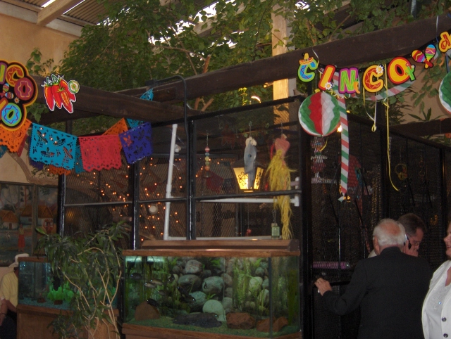 La Posta prepares to celebrate Cinco de Mayo