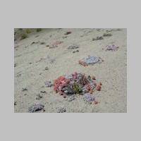 09080518EagleCap.JPG