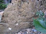 02ShedRoofC.jpg