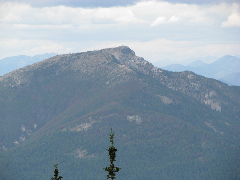SalmoLookoutC02.jpg