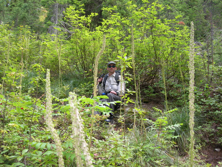dscn2610.jpg