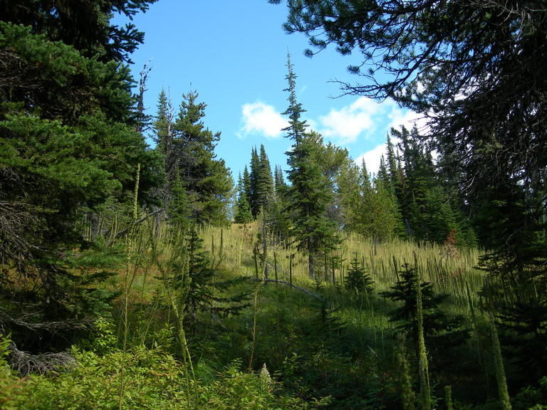 dscn2618.jpg