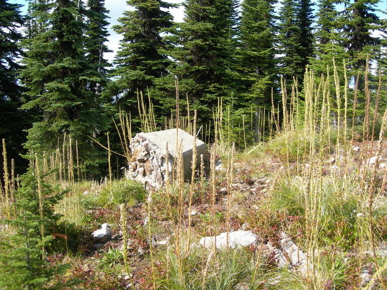 dscn2621.jpg