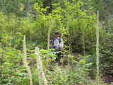 dscn2610.jpg