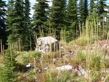 dscn2621.jpg