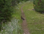 dscn2631.jpg