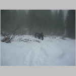 SnoqualmiePeak02.JPG