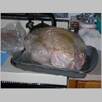 Thanksgiving05.JPG