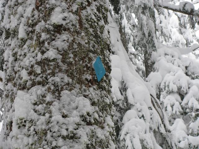 07SnoqualmieLakesLoop