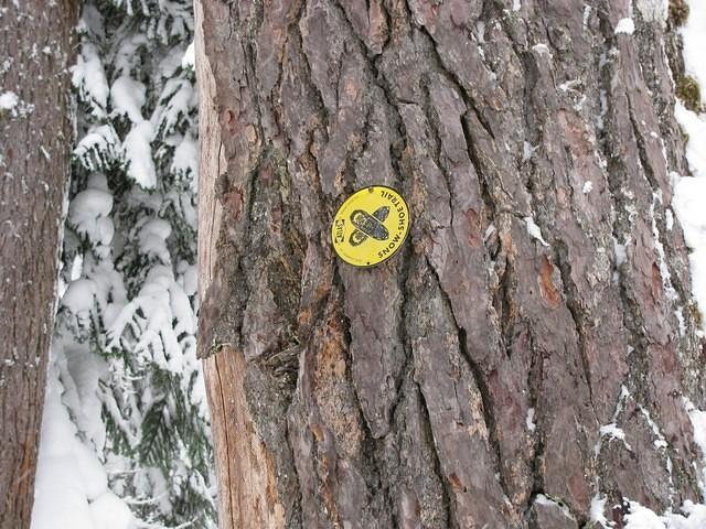 16SnoqualmieLakesLoop