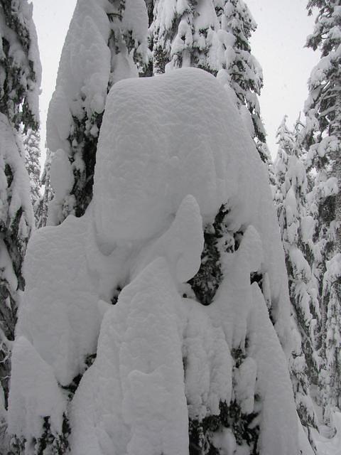 24SnoqualmieLakesLoop