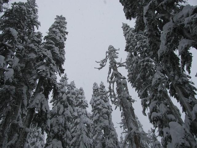 34SnoqualmieLakesLoop
