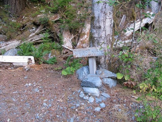 IMG 3992