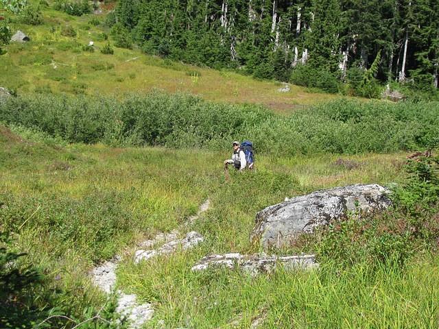 IMG 4015