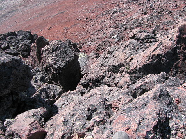 IMG 3942
