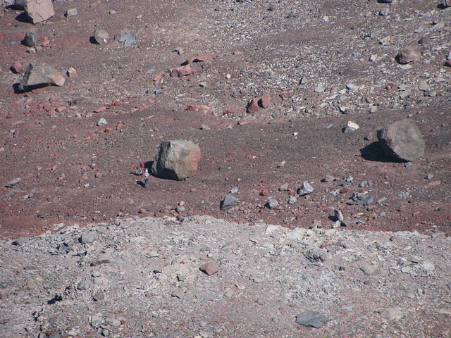 IMG 3960