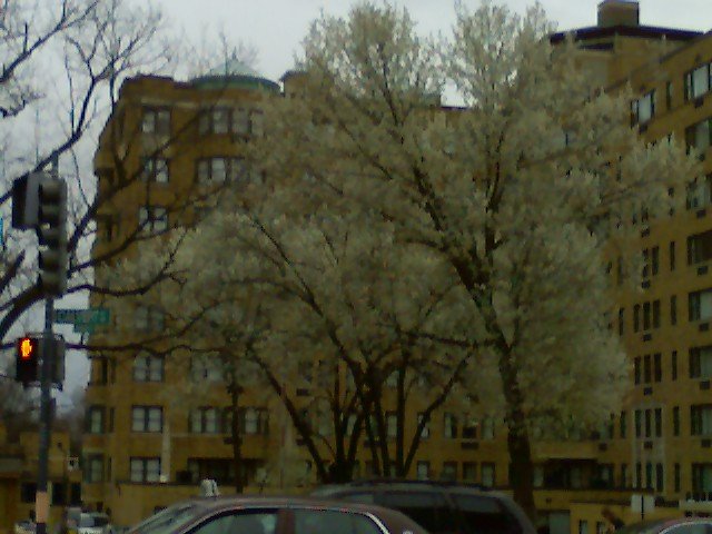 06 Washington DC 2009