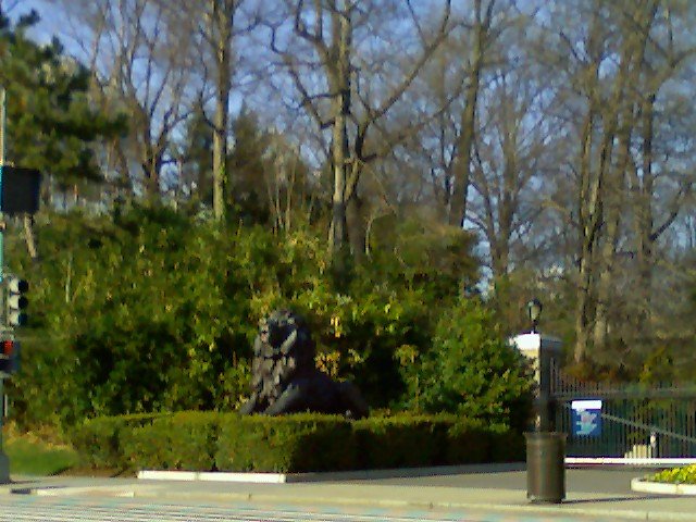 20 Washington DC 2009