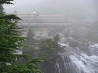 FogBridge