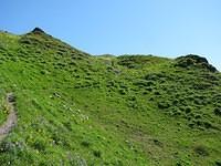 GreenTrail