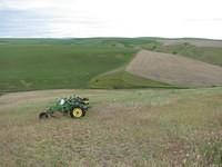 WheatFields