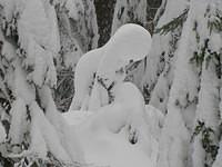 05SnoqualmieLakesLoop