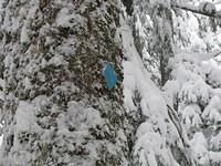 07SnoqualmieLakesLoop