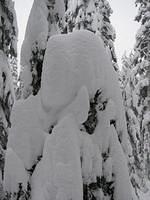24SnoqualmieLakesLoop