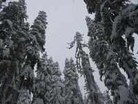 34SnoqualmieLakesLoop