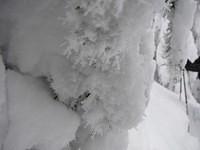 66SnoqualmieLakesLoop