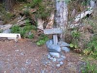 IMG 3992