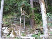 IMG 3993