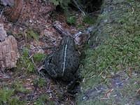 IMG 4001