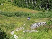 IMG 4015