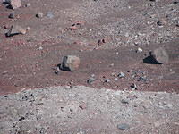 IMG 3960