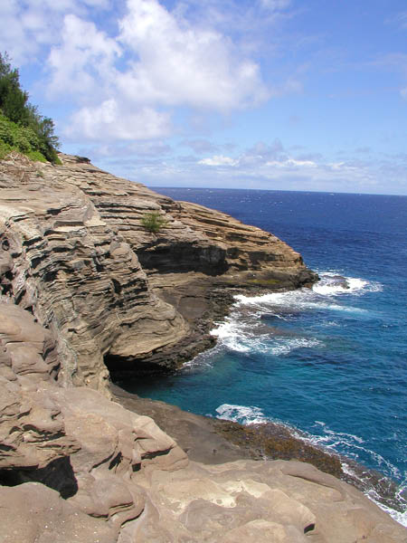 P8084018